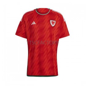 Wales Hjemme trøje World Cup 2022 S/S